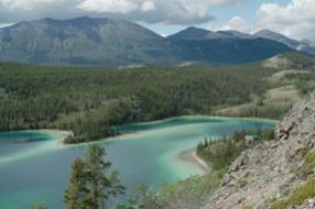 Emerald Lake Near Carcross